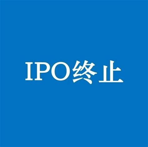 293家！2022年IPO企业终止情况汇总_财富号_东方财富网