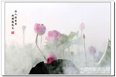 雾里看花
