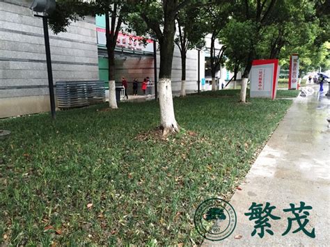 苏州博览中心一期绿化改造工程案例 - 绿化工程 - 繁茂古树名木保护（苏州）有限公司 江苏园林植物总医院