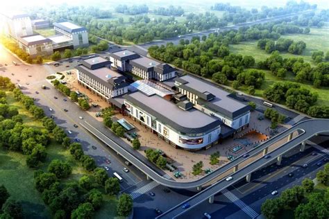 洛阳将新建多个博物馆，开放时间已经明确_地方_河南省人民政府门户网站