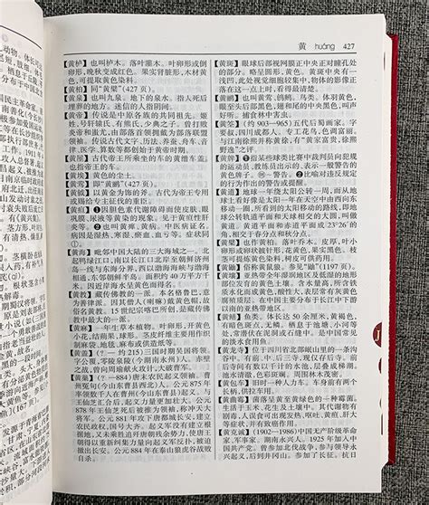 新华字典词典大全_新华字典词典下载 - 随意云