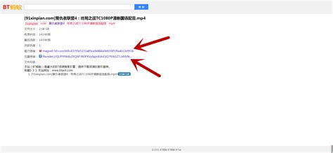 磁力资源搜索下载软件|磁力资源搜索助手24.03.20(2024.03.26)中文特别版-闪电软件园