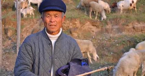 民间故事：老翁放羊，突遇大风，黄皮子戴着草帽出现在羊群里 - 知乎