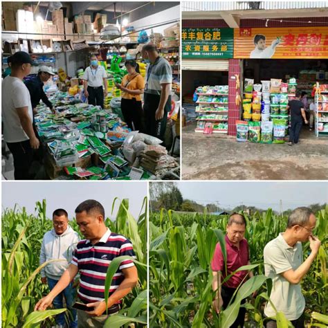 勐腊县种子管理站开展种子市场检查行动