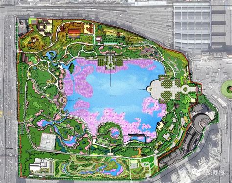北京莲花池公园将“扩容”4.2公顷，建立观鸟站和水下栈道 | 北晚新视觉
