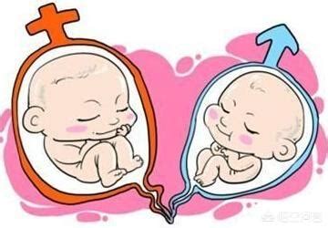 双胎及联体胎-中国女性百科-医学
