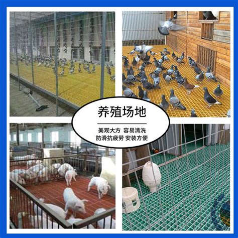 养殖格栅 - 玻璃钢格栅 - 安平县亿鼎丝网制品有限公司