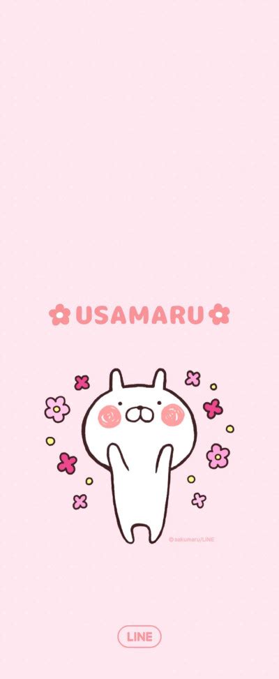 兔丸()图片