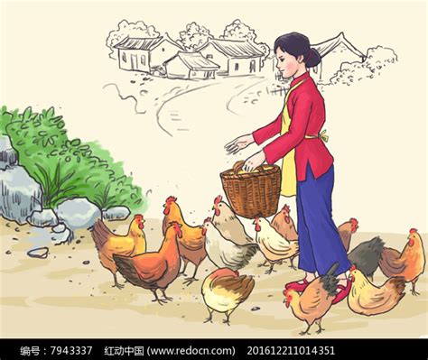 农妇养鸡喂鸡插画图片下载_红动中国