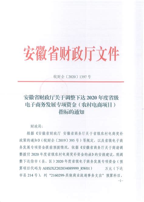 安徽省财政厅关于调整下达2020年度省级电子商务发展专项资金（农村电商项目）指标的通知_六安市金安区人民政府