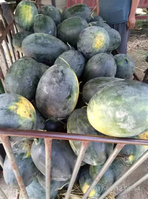 西瓜销售旺季不旺-广东省农业农村厅网站