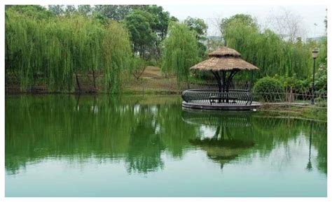 以竹为主题的吴城候鸟小镇酒店设计方案-酒店资讯-上海勃朗空间设计公司