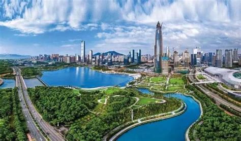 聚焦中国产业：2021年深圳市特色产业之大数据产业全景分析(附产业空间布局、发展现状及目标、竞争力分析)_行业研究报告 - 前瞻网