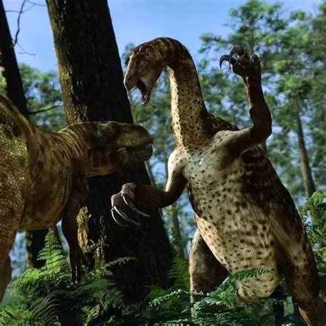 4个惊人的考古发现，美国发现比霸王龙更强的恐龙新品种_腾讯视频