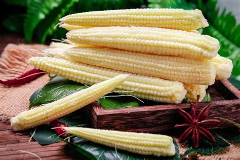 你今天吃的玉米，10000年前还是一棵野生的杂草，它经历了什么？_品种