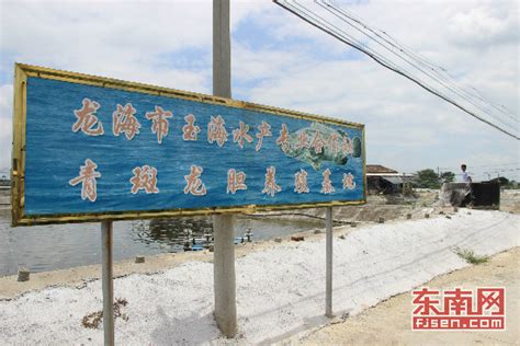 福建龙海市海澄镇玉枕村：高优水产养殖 授贫以“渔”_水产快讯（水产养殖）_水产养殖网