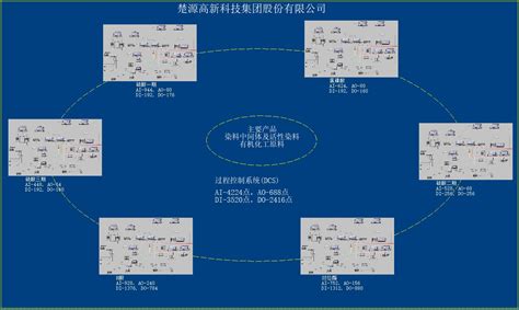 楚源高新科技集团股份有限公司过程控制系统（DCS)_浙江威盛自动化有限公司