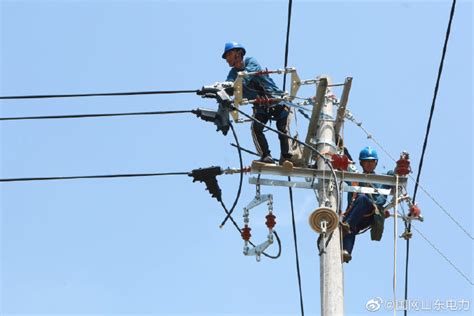 10千伏李工线农配网线路设施进行升级配套改造工程 | 电力管家