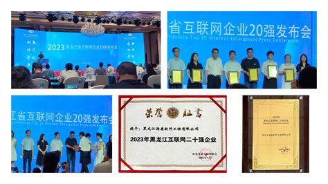 黑龙江省高校软件工程专业人才培养研讨会圆满举办
