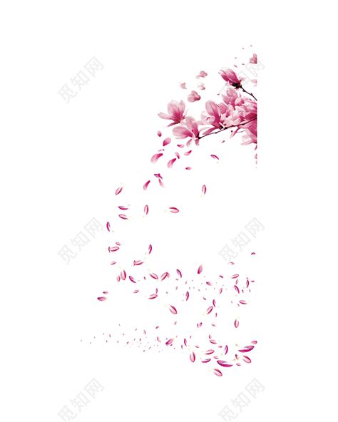 飘落的樱花花瓣图片素材免费下载 - 觅知网