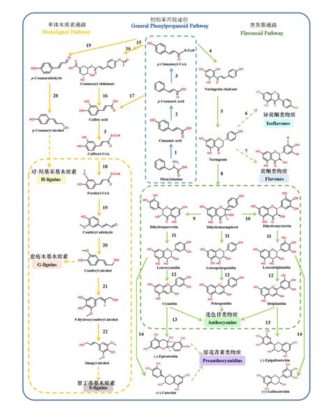 哒嗪酮化合物及其用途的制作方法