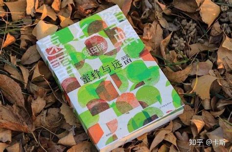 《蜜蜂与远雷》恩田陆书籍推荐 | 潇湘读书社