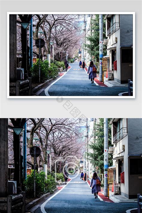东京热图片