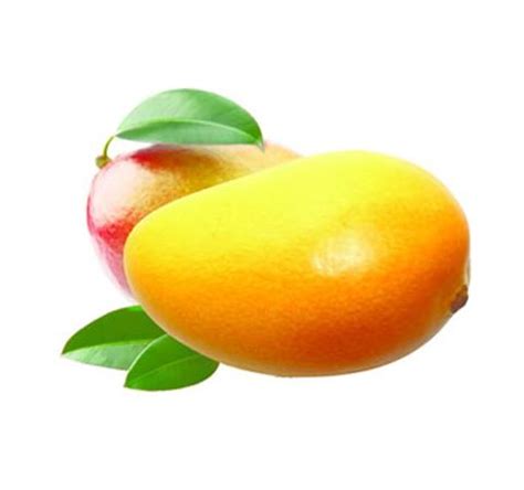 芒果的功效和作用，吃芒果有什么禁忌?_食材百科_三顶养生网