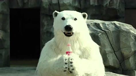 北极熊自己开瓶喝可乐你能相信 _高清1080P在线观看平台_腾讯视频
