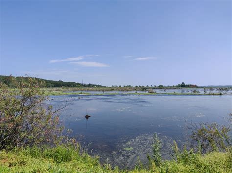 2023兴凯湖湿地公园游玩攻略,兴凯湖真的不错，新断流景区... 【去哪儿攻略】