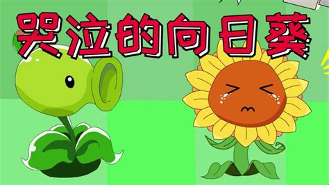 植物大战僵尸搞笑动画：哭泣的向日葵_高清1080P在线观看平台_腾讯视频