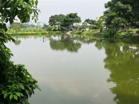 广州花都区免费钓场大全 - 钓鱼之家