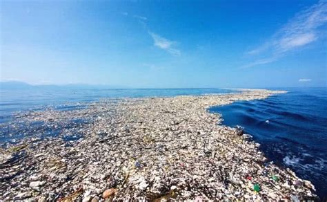 一个坏消息，太平洋这个垃圾堆越来越大了_澎湃号·湃客_澎湃新闻-The Paper