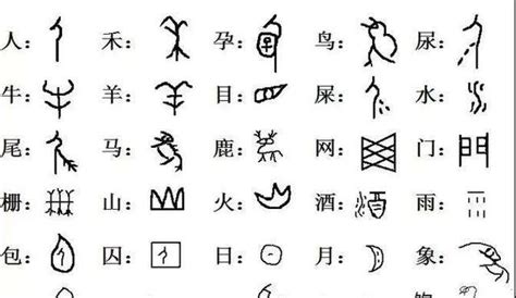 中国汉字的起源与演变|汉字|演变|文字_新浪新闻