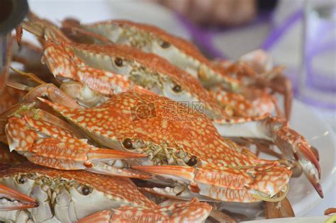 开海后的北海海鲜市场实探：花蟹30元、弹虾38元就能带走一斤