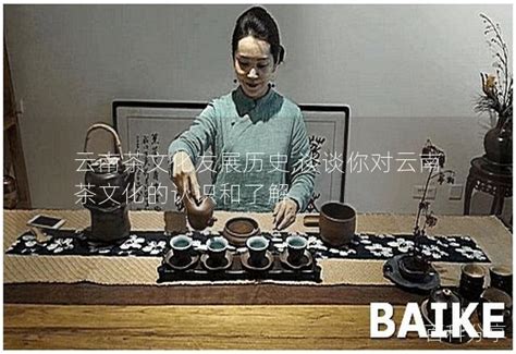 云南茶文化发展历史,谈谈你对云南茶文化的认识和了解 - 茶叶百科