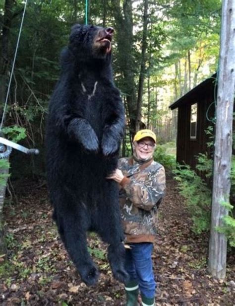 美国73岁老妇捕杀到一只巨大黑熊 - 神秘的地球 科学|自然|地理|探索