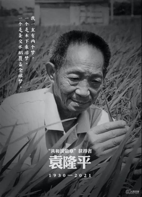 海报丨对袁隆平的最好纪念 就是学习他这些高贵品质和崇高风范-四川大学电气工程学院