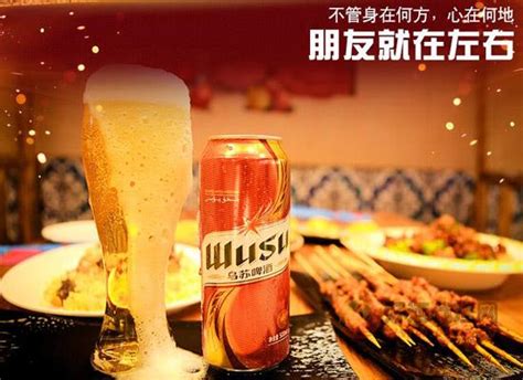 新一代XBV啤酒白瓶600mlx12-美国百威至尊酒业（中国）有限公司-秒火好酒代理网