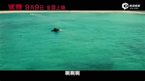 视频：电影《鲨滩》曝终极预告 莱弗利智勇斗白鲨_手机新浪网