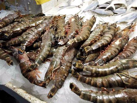 探访青岛海鲜大市场 实拍青岛8种大虾价格