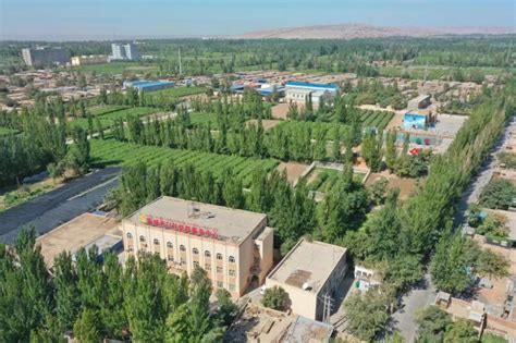 吐鲁番市高昌区疫情流调已排查103人-天山网 - 新疆新闻门户