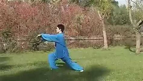 二十六式传统杨式太极拳正面及背向完整演练刘道宁_腾讯视频