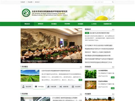 中国小额信贷联盟门户网站设计 神州互动网站建设案例_神州互动-站酷ZCOOL
