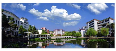 生化学院顺利举行湖南工业大学-湖南迪文科技有限公司第一届“优才班”开班仪式-生命科学与化学学院
