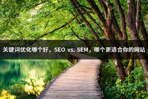 关键词优化哪个好，SEO vs. SEM，哪个更适合你的网站_爱海淘