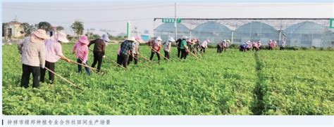 农业种植运营 > 种植基地研学_北京谷普农业技术服务有限公司