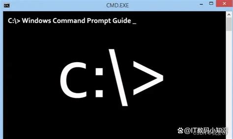 COmmand 的图像结果