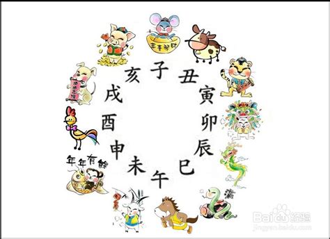 中国传统十二生肖星盘插图,设计模板,汇图网www.huitu.com