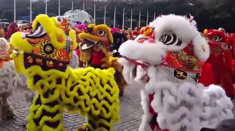 满满的过年气氛！正月里100头狮子广场舞狮表演，场面非常壮观_腾讯视频